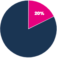 Porcentagem de 20% que representa a quantidade total de PCDs no Brasil
